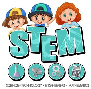 stem