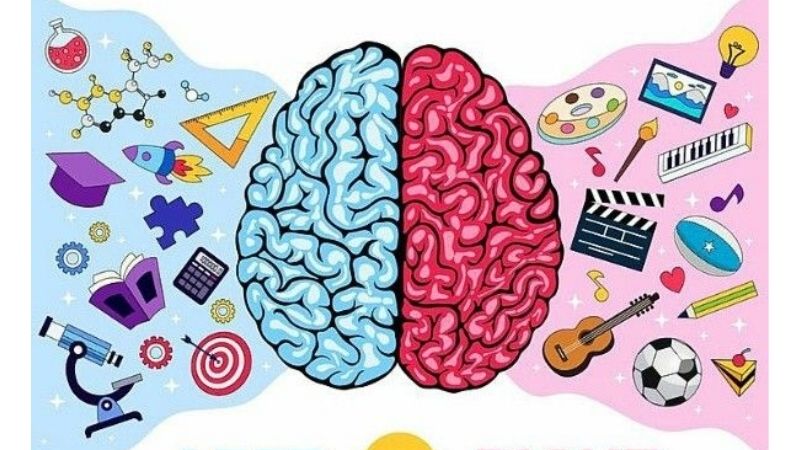 Toán tư duy kích thích sự phát triển đồng đều của hai bán cầu não trẻ